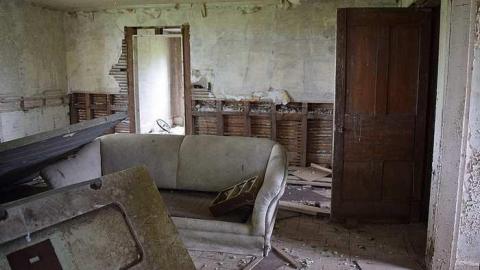 Bay Window Beauty - DSC_0059.jpg