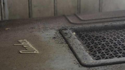 Bay Window Beauty - DSC_0060.jpg