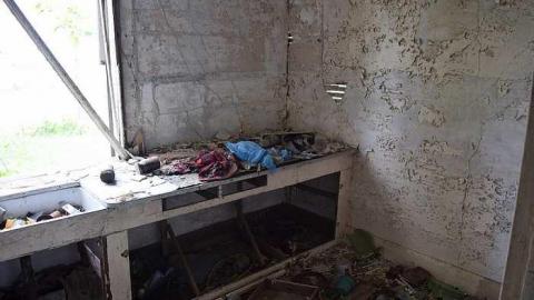 Bay Window Beauty - DSC_0061.jpg