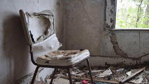 Bay Window Beauty - DSC_0062.jpg