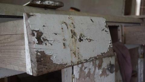 Bay Window Beauty - DSC_0063.jpg