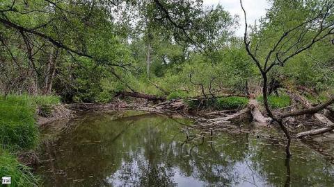 Turtle Bridge - Weisenberg-Rd-Bridge5.jpg