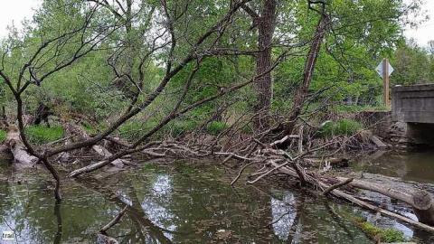 Turtle Bridge - Weisenberg-Rd-Bridge13.jpg