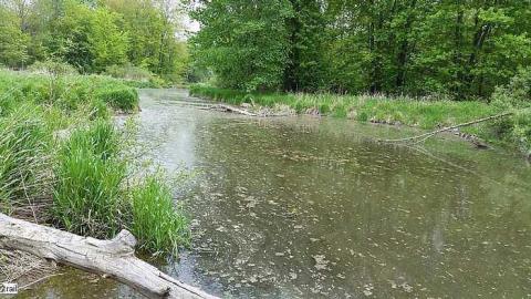 Turtle Bridge - Weisenberg-Rd-Bridge17.jpg