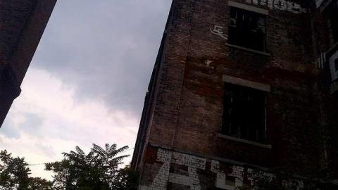 Summer 2013  - Linseed-Factory68.jpg