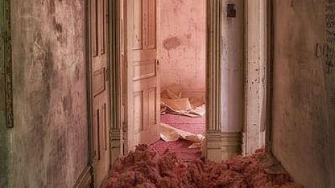 May 2015 - DSC_0328-Edit.jpg