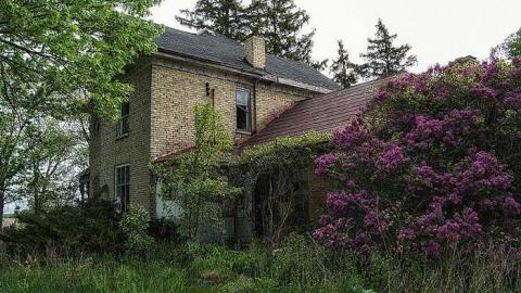 May 2015 - DSC_0354-Edit.jpg