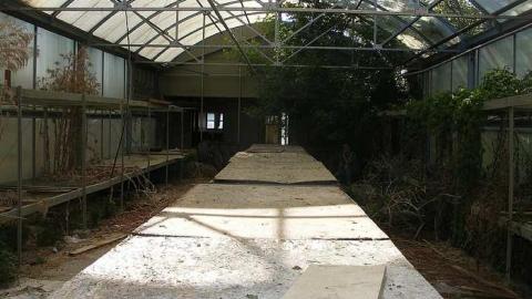 Bubblegum - European-Wicker-Imports60.jpg