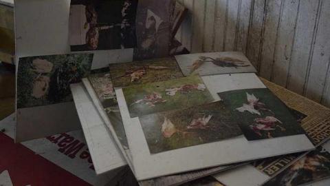 On-Lee the Lone-Lee - DSC_0050.jpg