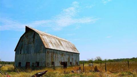 On-Lee the Lone-Lee - DSC_0176.jpg