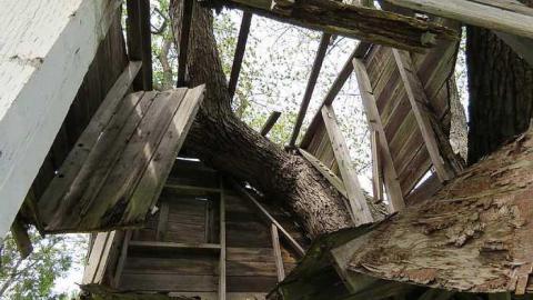 Crumbled Farm  - 20150524142151.jpg