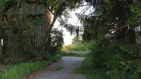 Photo from Hamill  House 