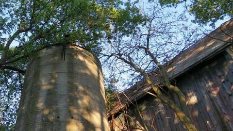 Photo from Hamill  House 