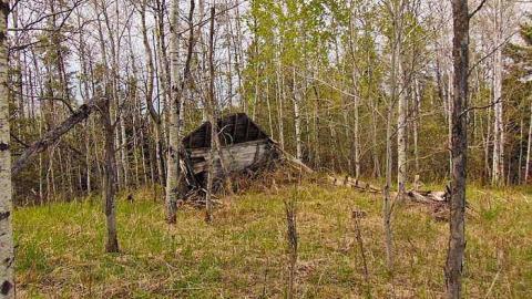 Parallel Fault - Parallel-Fault13.jpg