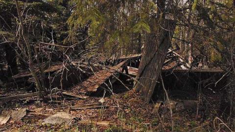 Parallel Fault - Parallel-Fault6.jpg