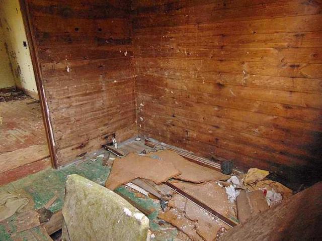 Parallel Fault photo 3