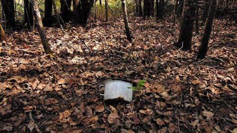 Old Dawson Decay photo 3