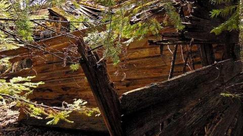 Old Dawson Decay - Old-Dawson-Decay2.jpg