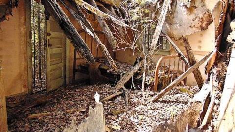 Old Dawson Decay - Old-Dawson-Decay3.jpg