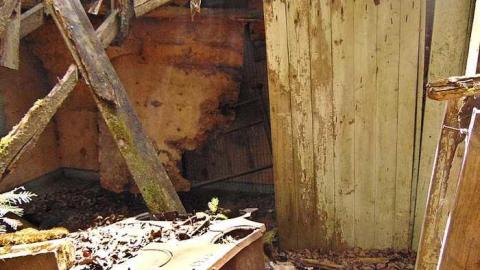 Old Dawson Decay - Thunder Bay, Unorganized, Ontario