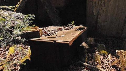 Old Dawson Decay - Old-Dawson-Decay4.jpg