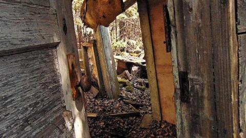 Old Dawson Decay - Old-Dawson-Decay5.jpg