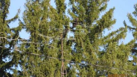 Nodwell Farm - Nodwell 002.jpg