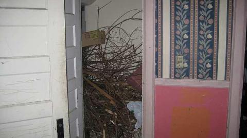 Night Visit 2010 - High-Park-Houses27.jpg