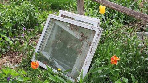 Lilac Beauty  - 20150518172121.jpg