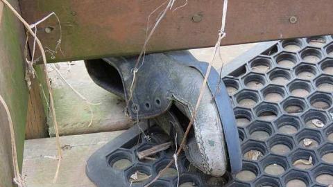 Lilac Beauty  - 20150518172321.jpg