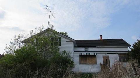 Lilac Beauty  - 20150518172434.jpg