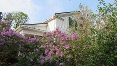 Photo from Lilac Beauty 