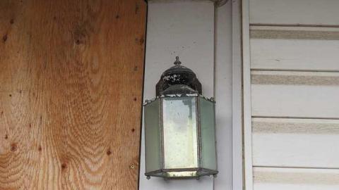 Lilac Beauty  - 20150518172638.jpg