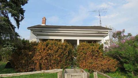 Lilac Beauty  - 20150518172838.jpg