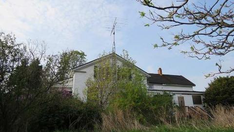 Lilac Beauty  - 20150518172514.jpg