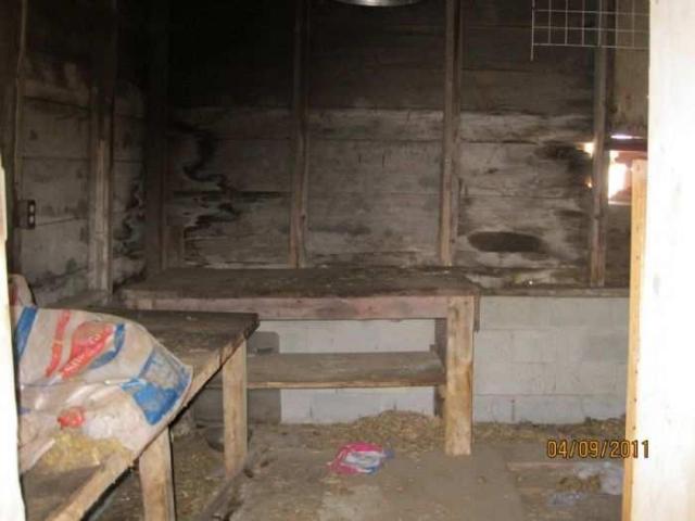 Nodwell Farm photo 5