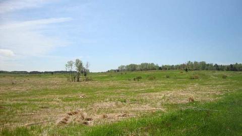 Burwash Prison - Burwash-Correctional-Prison330.jpg