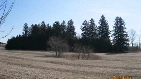 Nodwell Farm - Nodwell 022.jpg