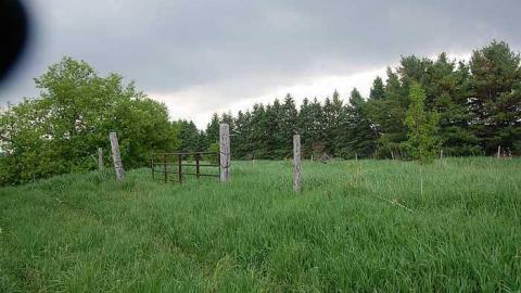 Creepy House - Creepy-House25.jpg