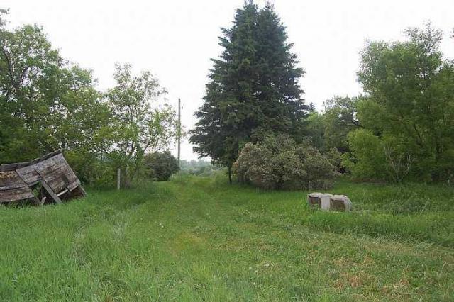 Creepy House photo 3