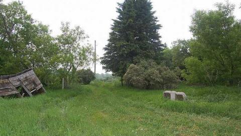 Photo from Creepy House