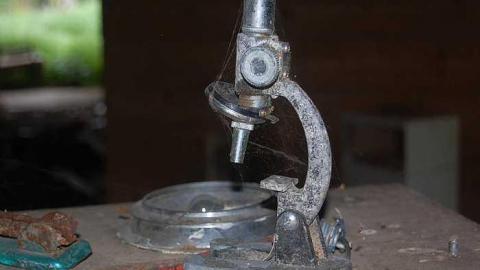 Creepy House - Creepy-House26.jpg