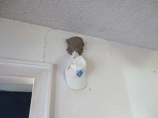 Spring Meet up 2015 - 046.jpg