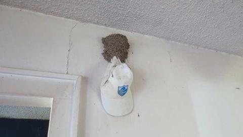 Spring Meet up 2015 - 046.jpg