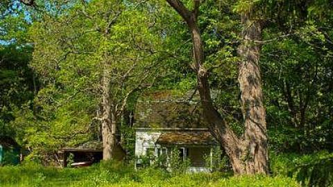 GOING COASTAL MEET'15 - Anthes-Beach-Houses249.jpg