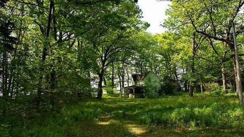 GOING COASTAL MEET'15 - Anthes-Beach-Houses186.jpg