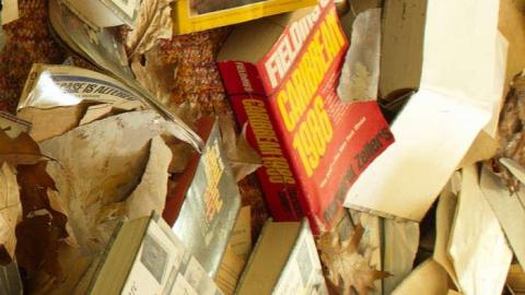 GOING COASTAL MEET'15 - Anthes-Beach-Houses252.jpg