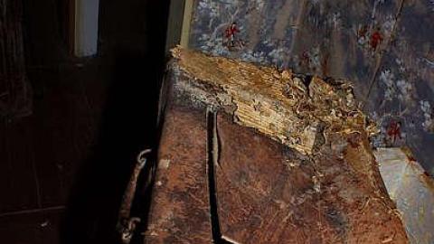 GOING COASTAL MEET'15 - Anthes-Beach-Houses255.jpg