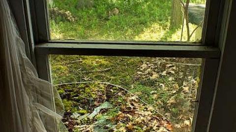 GOING COASTAL MEET'15 - Anthes-Beach-Houses262.jpg