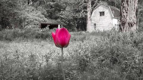 GOING COASTAL MEET'15 - Anthes-Beach-Houses10.jpg